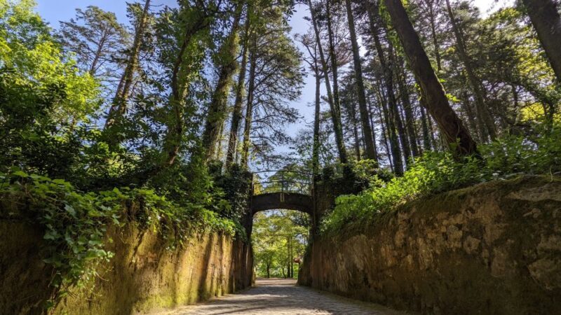 Lisbon: Sintra, Pena, Regaleira, Cabo da Roca & Cascais - Who Is This Tour Best For?
