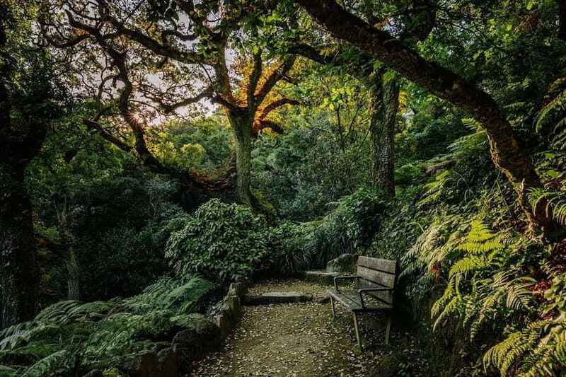 Lisbon: Sintra, Pena, Regaleira, Cabo da Roca, Cascais Tour - Price and Value