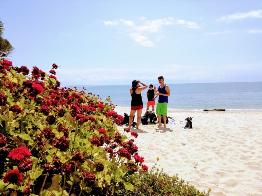 Lisbon: Snorkeling and Wine Tasting in Arrábida - Wine Tasting Experience