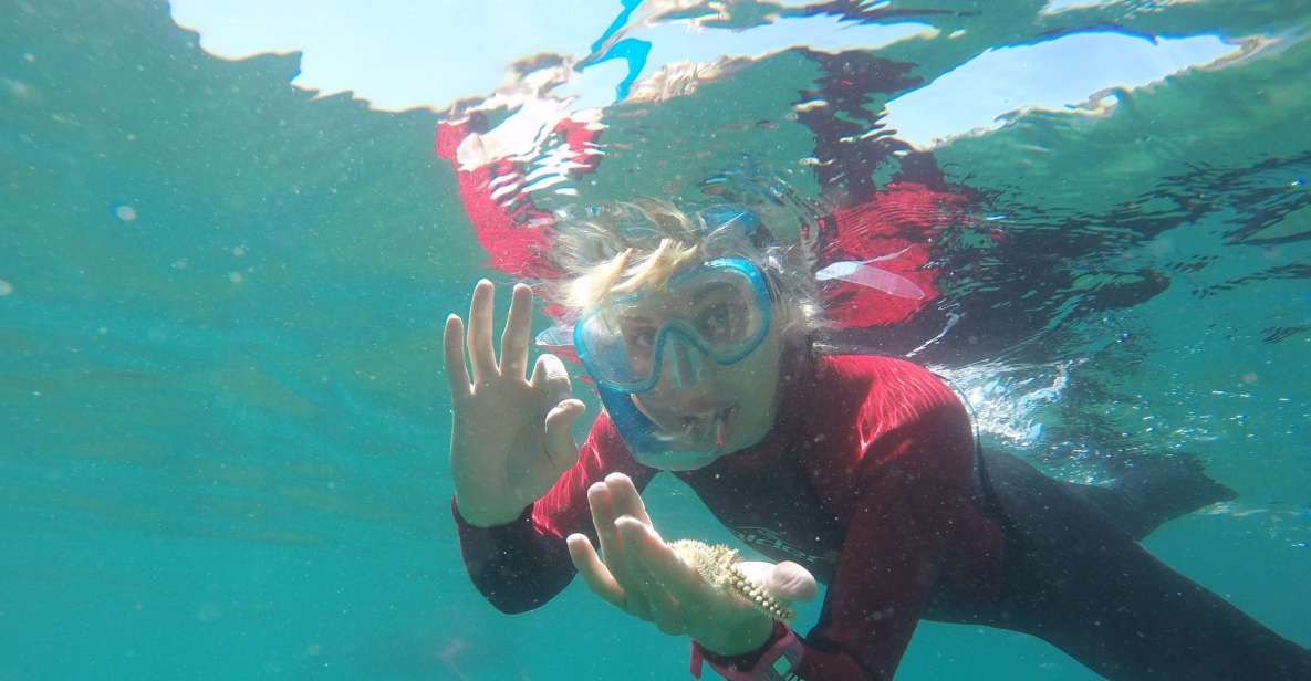 Lisbon: Snorkeling in Sesimbra/Arrábida Natural Park - Key Points