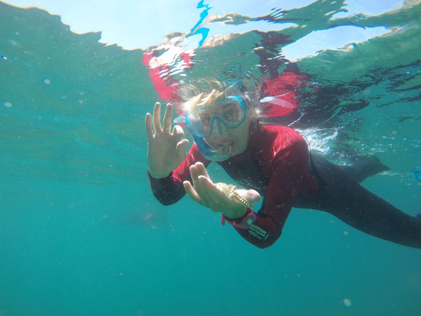 Lisbon: Snorkeling in Sesimbra/Arrábida Natural Park - Pricing and Booking Details
