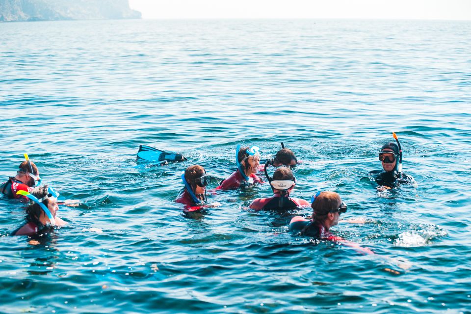 Lisbon: Snorkeling in Sesimbra/Arrábida Natural Park - Diverse Marine Life Sightings