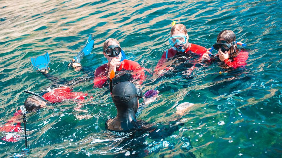 Lisbon: Snorkeling in Sesimbra/Arrábida Natural Park - Snorkeling Equipment Included