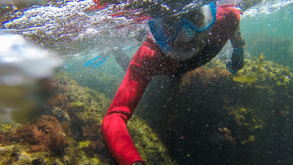 Lisbon: Snorkeling in Sesimbra/Arrábida Natural Park - Activity Duration and Logistics