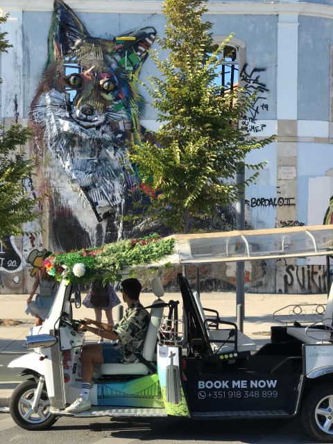 Lisbon: Street Art Private Guided Tour by Tuk-Tuk - Renowned Street Artists Featured