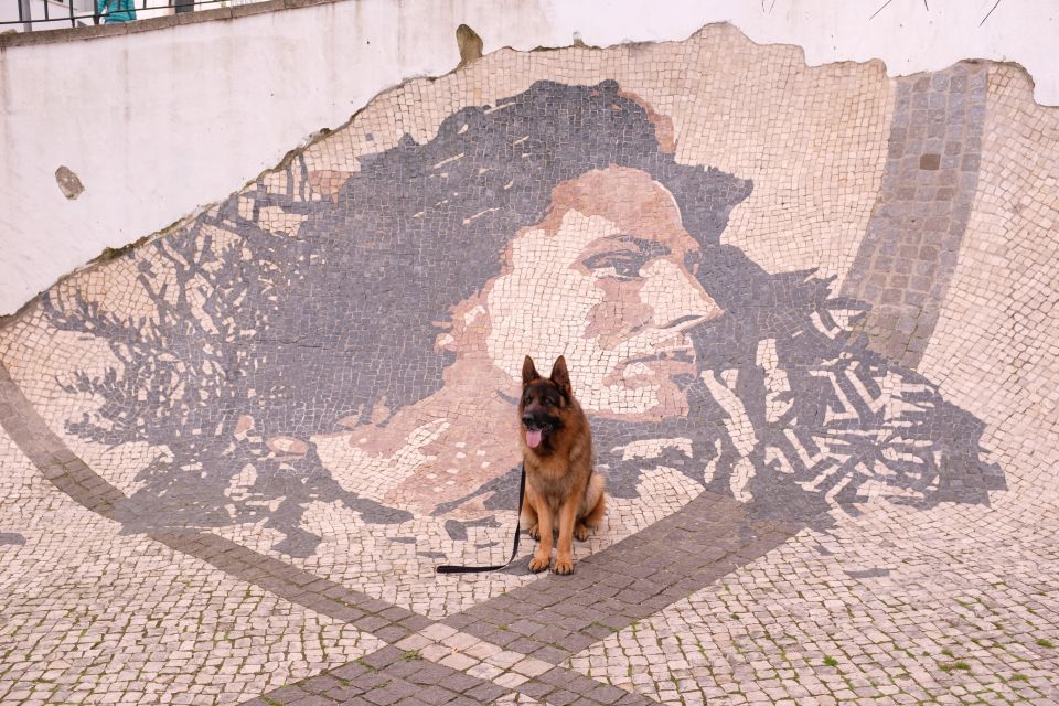 Lisbon: Street Art Private Guided Tour by Tuk-Tuk - Photo Opportunities at Locations