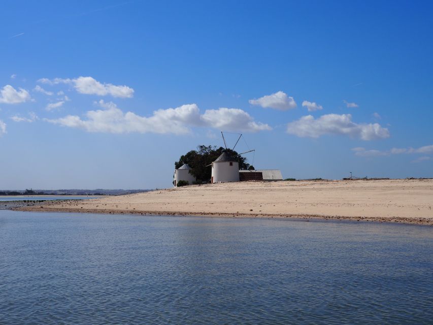 Lisbon: Tagus Estuary Nature Reserve Birdwatching Boat Tour - Tagus Estuary Nature Reserve