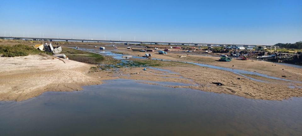Lisbon: Tagus Estuary Nature Reserve Birdwatching Boat Tour - Included and Excluded Amenities