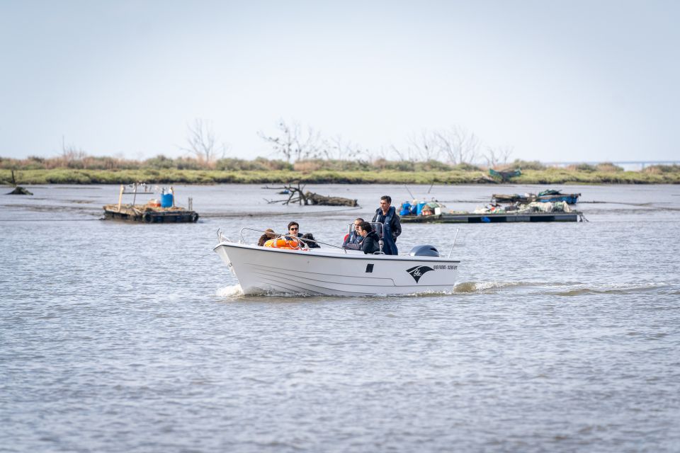Lisbon: Tagus Estuary Nature Reserve Birdwatching Boat Tour - Frequently Asked Questions