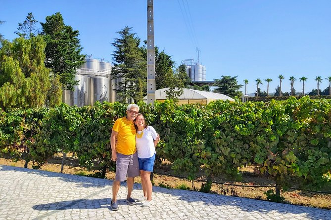 Lisbon & The South Side Wine Regions Private Luxury Tour - Tour Options