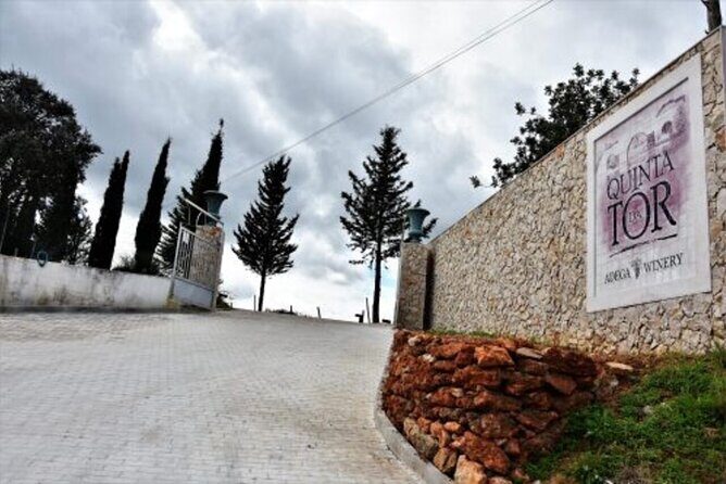 Lisbon to Algarve with stops up to 4 cities - Pricing and Value Analysis