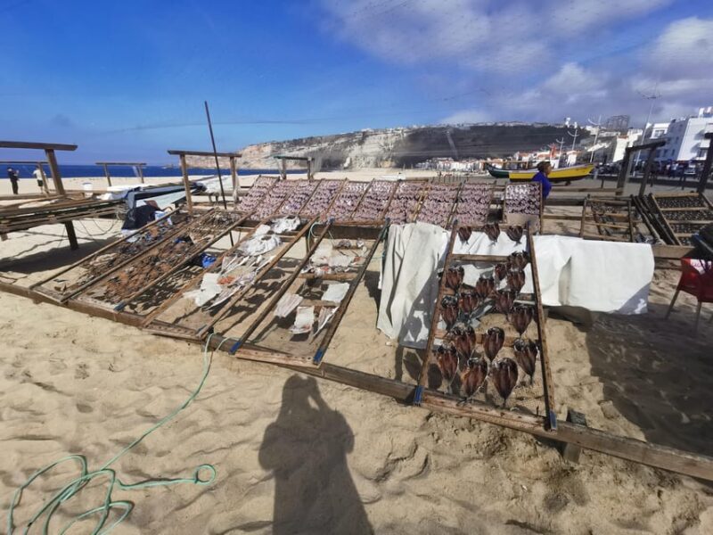 Lisbon to Fatima Nazaré and Óbidos Private Full Day Tour - Who Will Love This Tour?