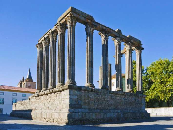 Lisbon: To Porto, Day Trip & Transfer with Stops in 3 Cities - Who Should Consider This Experience?