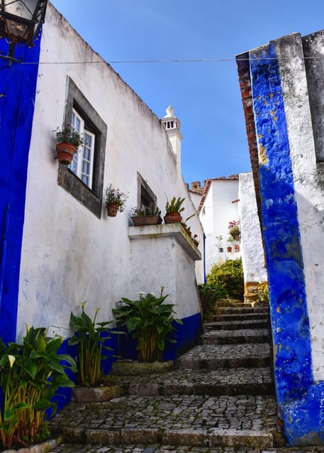 Lisbon: to Porto or vice versa Day Tour with up to 3 stops - The Experience: Comfort, Timing, and Guide Insights