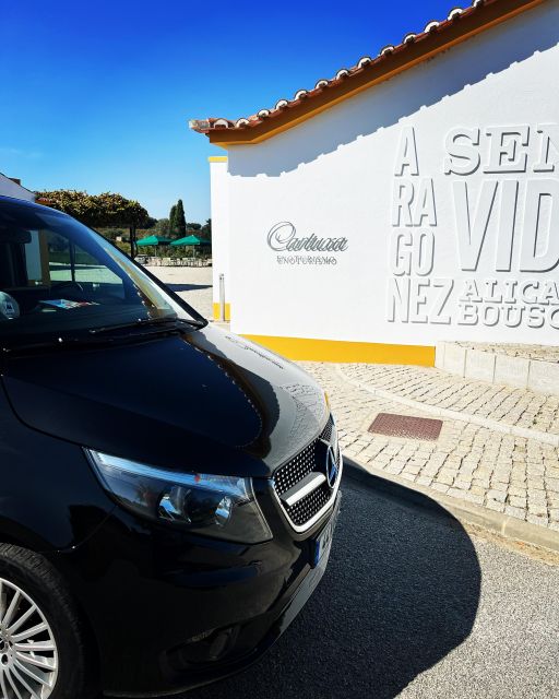 Lisbon to Seville Private Transfer/Tour - Itinerary and Highlights