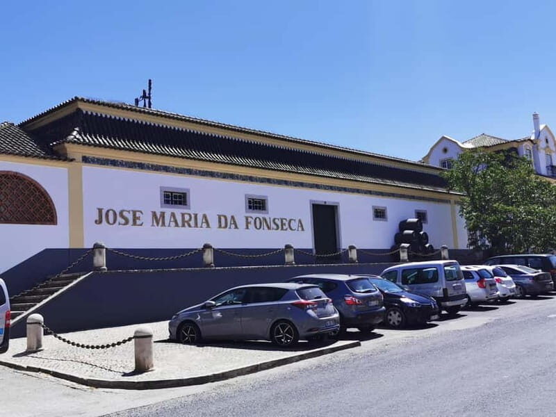 Lisbon to Wine Tasting Setubal, Two Cellars, Half Day Tour - An In-Depth Look at the Tour Experience