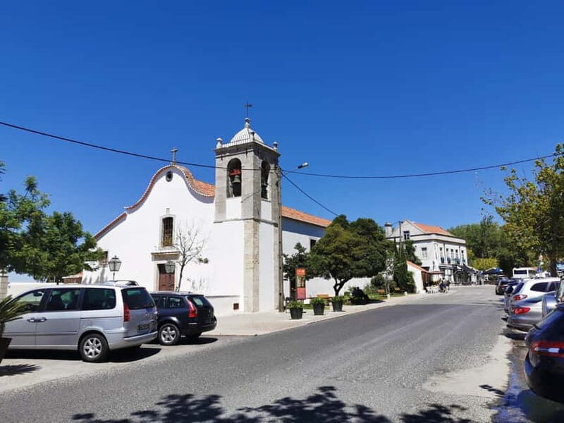 Lisbon to Wine Tasting Setubal, Two Cellars, Half Day Tour - Practical Details and Tips