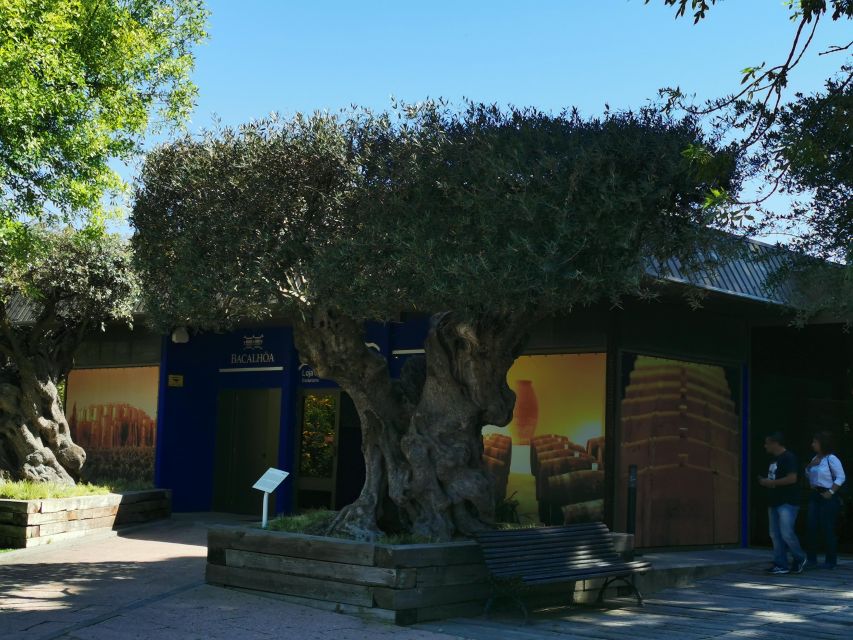 Lisbon to Wine Tasting Setubal, Two Cellars, Half Day Tour - Pricing and Booking