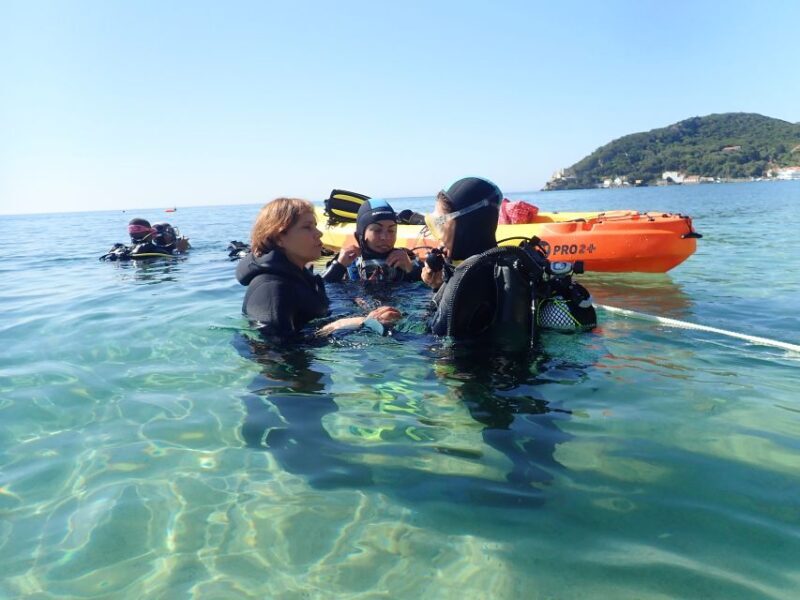 Lisbon: Try Dive in Arrábida Marine Reserve Setubal Sesimbra - Key Points