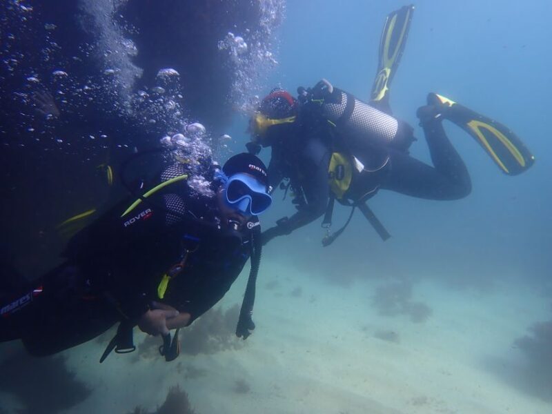 Lisbon: Try Dive in Arrábida Marine Reserve Setubal Sesimbra - Marine Life and Environment: Why It Matters