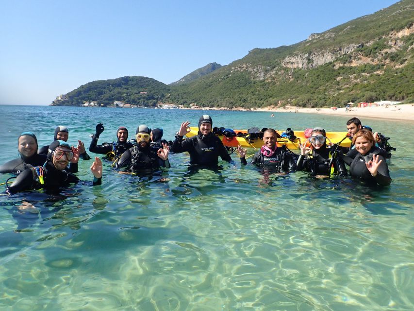 Lisbon: Try Diving in Arrábida Natural Park / Marine Reserve - Key Points