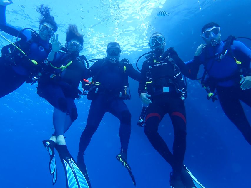 Lisbon: Try Diving in Arrábida Natural Park / Marine Reserve - Endemic Fauna Discoveries