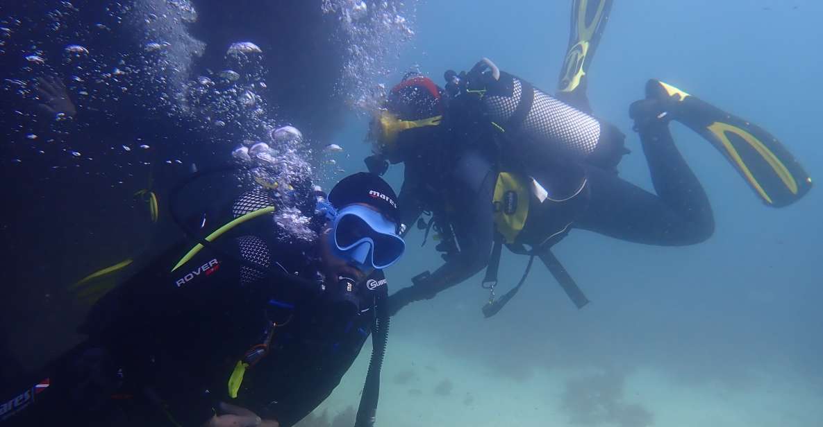 Lisbon: Try Diving in Arrábida Natural Park / Marine Reserve - Reefs and Coral Gardens
