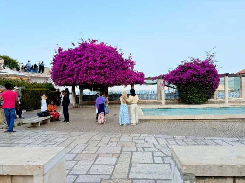 Lisbon: Tuk-Tuk Tour Historical Alfama old town private tour - Who Should Consider This Tour?