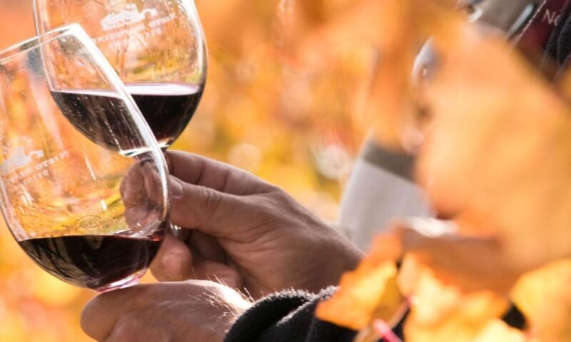 Lisbon Wine Tasting - A Well-Rounded Breakdown