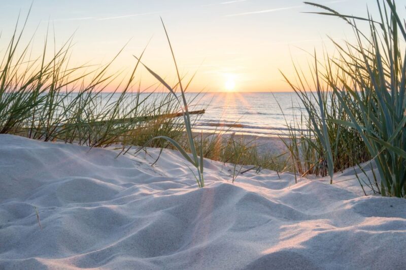Lisse: Drive-it-Yourself Electric Dune & Beach Audio Tour - Good To Know