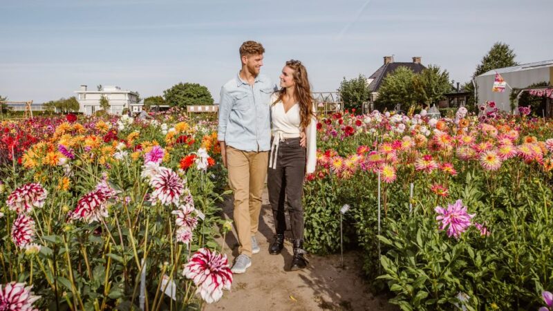 Lisse: Drive-it-Yourself Summer Flower GPS Audio Tour - Booking Process