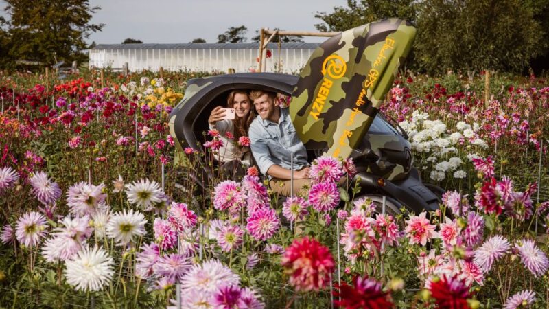 Lisse: Drive-it-Yourself Summer Flower GPS Audio Tour - Pricing Information