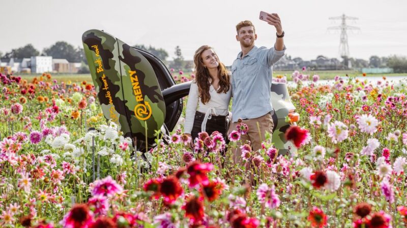 Lisse: Drive-it-Yourself Summer Flower GPS Audio Tour - Vehicle Features