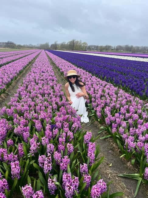 Lisse: Private Tulip Fields Tour with a Local Guide 1h Tour - What to Expect: A Step-by-Step Breakdown