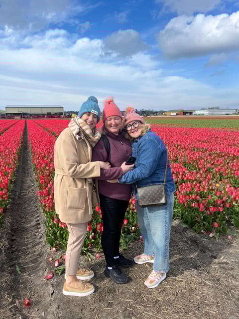 Lisse: Private Tulip Fields Tour With a Local Guide - Experience and Itinerary