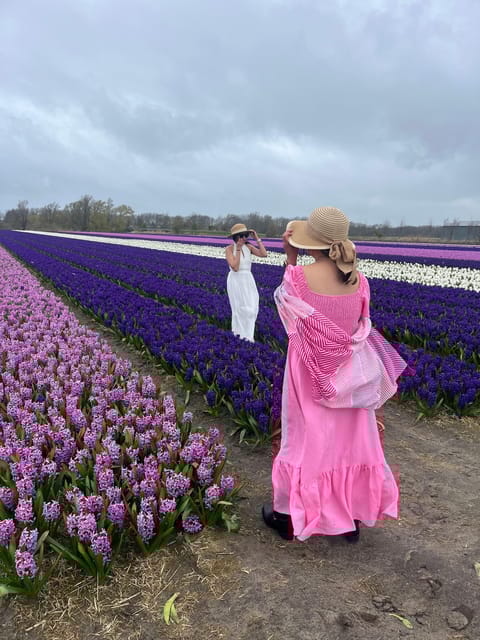 Lisse: Private Tulip Fields Tour With a Local Guide - Tour Highlights