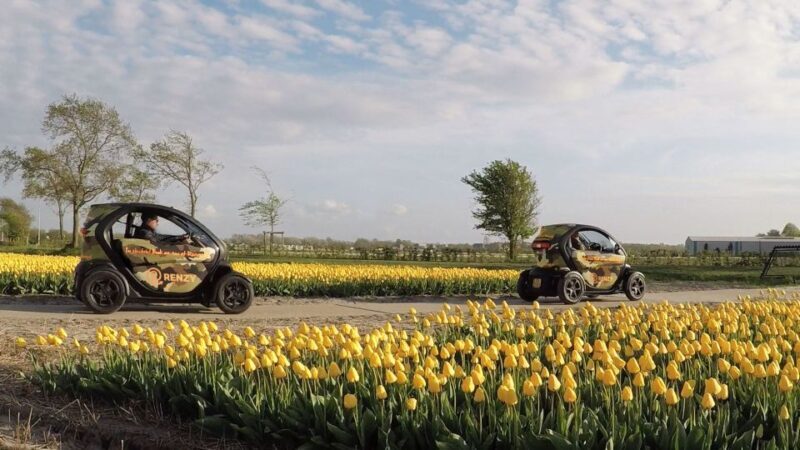 Lisse: Self-Guided Tulip Fields GPS Audio Tour - Pricing & Value: Is It Worth It?
