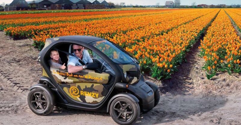 Lisse: Self-Guided Tulip Fields GPS Audio Tour - Requirements and Restrictions