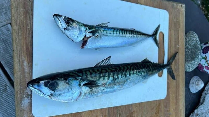 Lister: Inshore Fishing Tour with Local Guide - Exploring the Lister Inshore Fishing Tour