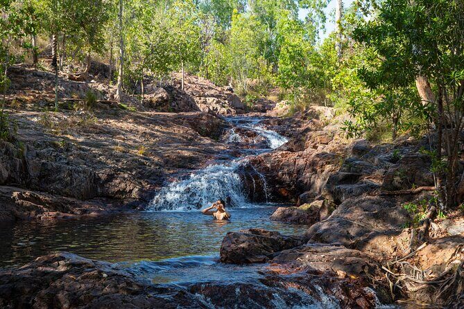 Litchfield National Park Waterfalls & Wildlife Adventure Tour - A Deep Dive into the Tour Itself