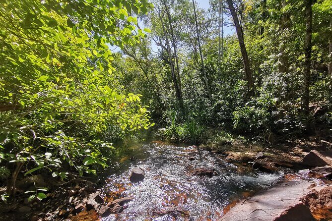 Litchfield Premium Day Tour, 10 guests only, lunch included - The Lunch Experience: Practical but Not Premium