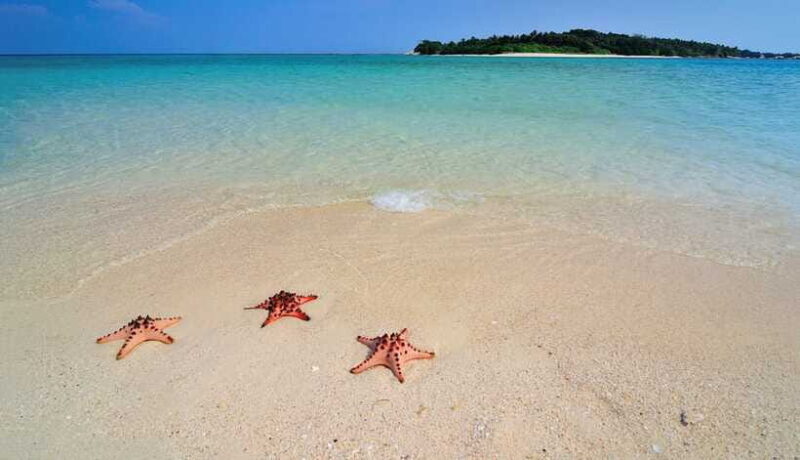 LITTLE BORACAY- CALATAGAN BATANGAS DAY TOUR (FROM MANILA) - The Value of the Tour: Breaking Down What You Get