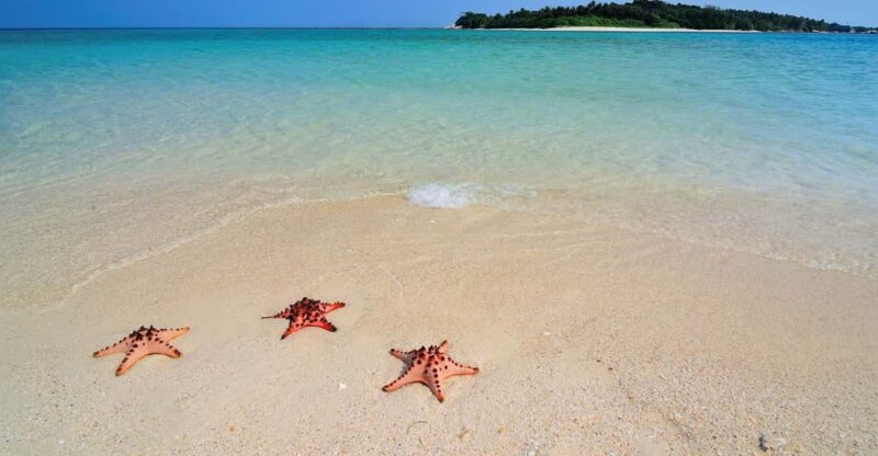 LITTLE BORACAY- CALATAGAN BATANGAS DAY TOUR (FROM MANILA) - In-Depth Look at Each Stop