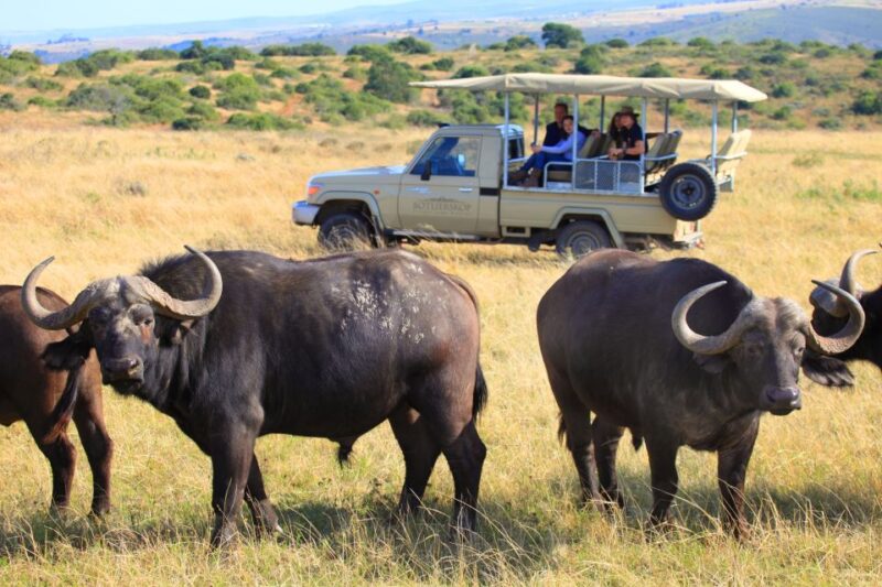 Little Brak River: Botlierskop Guided Game Drive - Discovering Botlierskops Diverse Wildlife