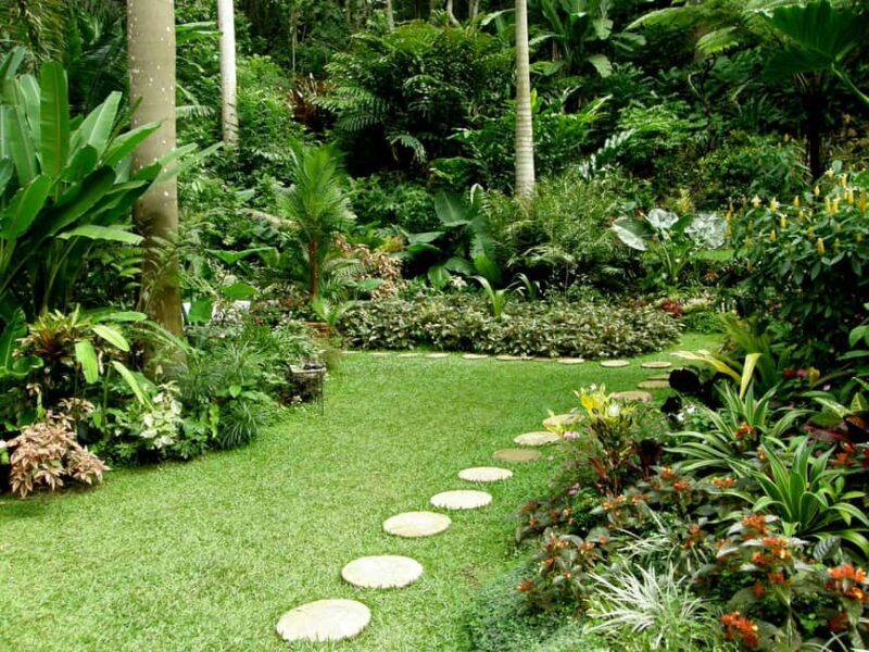 Little England: Half Day Tour in Barbados - Touring Barbados Colonial Past and Natural Beauty