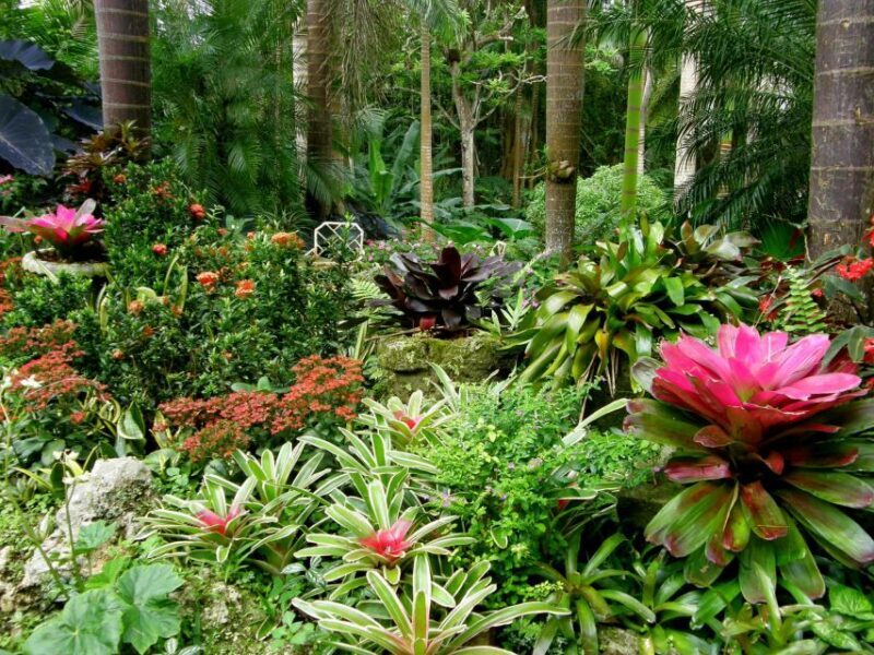 Little England: Half Day Tour in Barbados - Who will enjoy this tour?