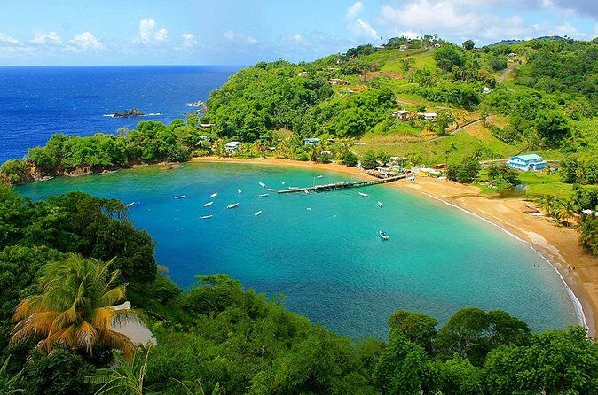 Little Tobago Glass Bottom Boat Tour - Key Points