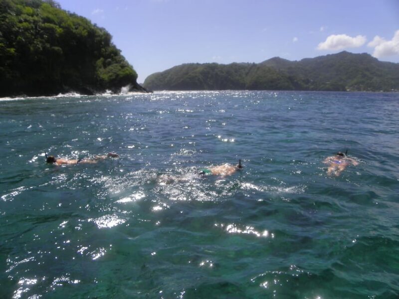 Little Tobago: Glass Bottom Boat Tour - Frequently Asked Questions