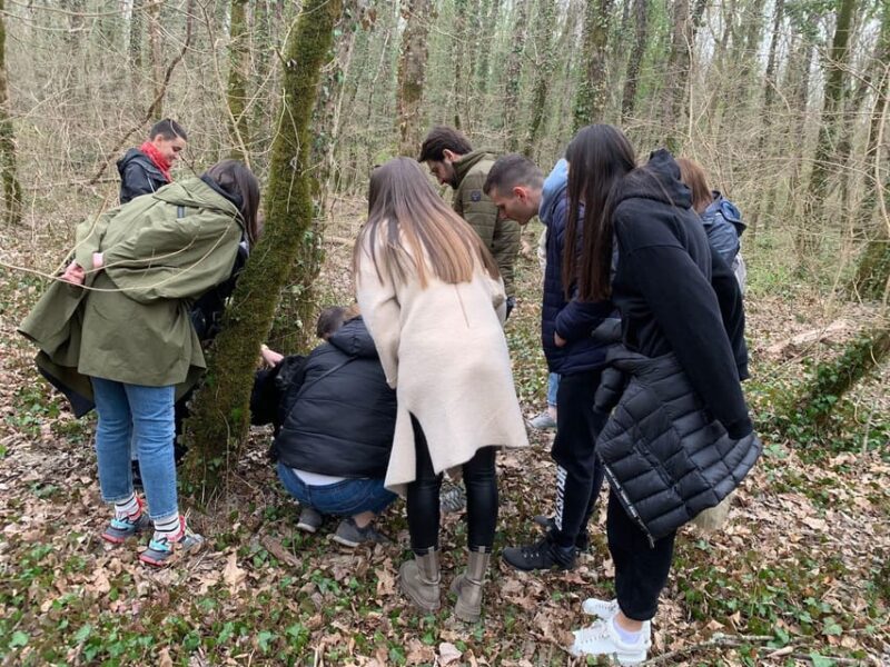 Livade: Guided Truffle Hunting Walking Tour - Experience Highlights