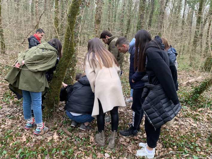 Livade: Guided Truffle Hunting Walking Tour - Tour Inclusions